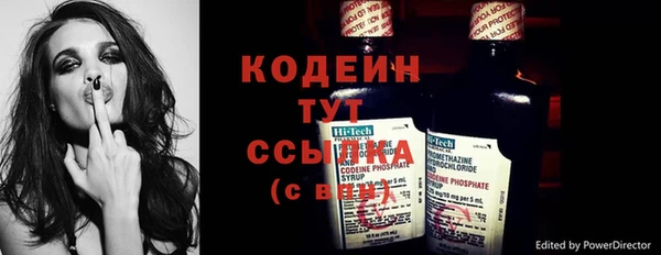 эйфоретик Алзамай