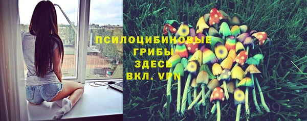 эйфоретик Алзамай