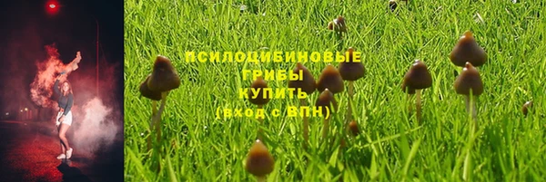 амфетамин Алексеевка
