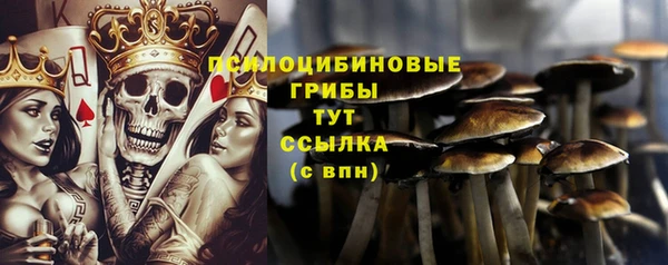 эйфоретик Алзамай