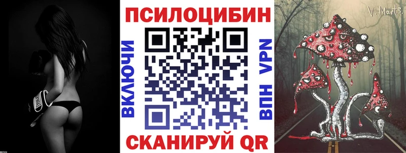 Галлюциногенные грибы Cubensis  mega ссылки  Бодайбо  как найти наркотики 